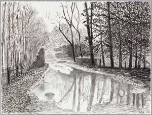 David Hockney, Woldgate, 67 February, from The Arrival of Spring in 2013 (twenty thirteen). Charcoal on paper. 22 5/8 x 30 1/4 in. © 2013 David Hockney. Photo: Richard Schmidt